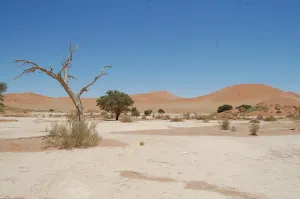 15 Day Highlights of Namibia Tour