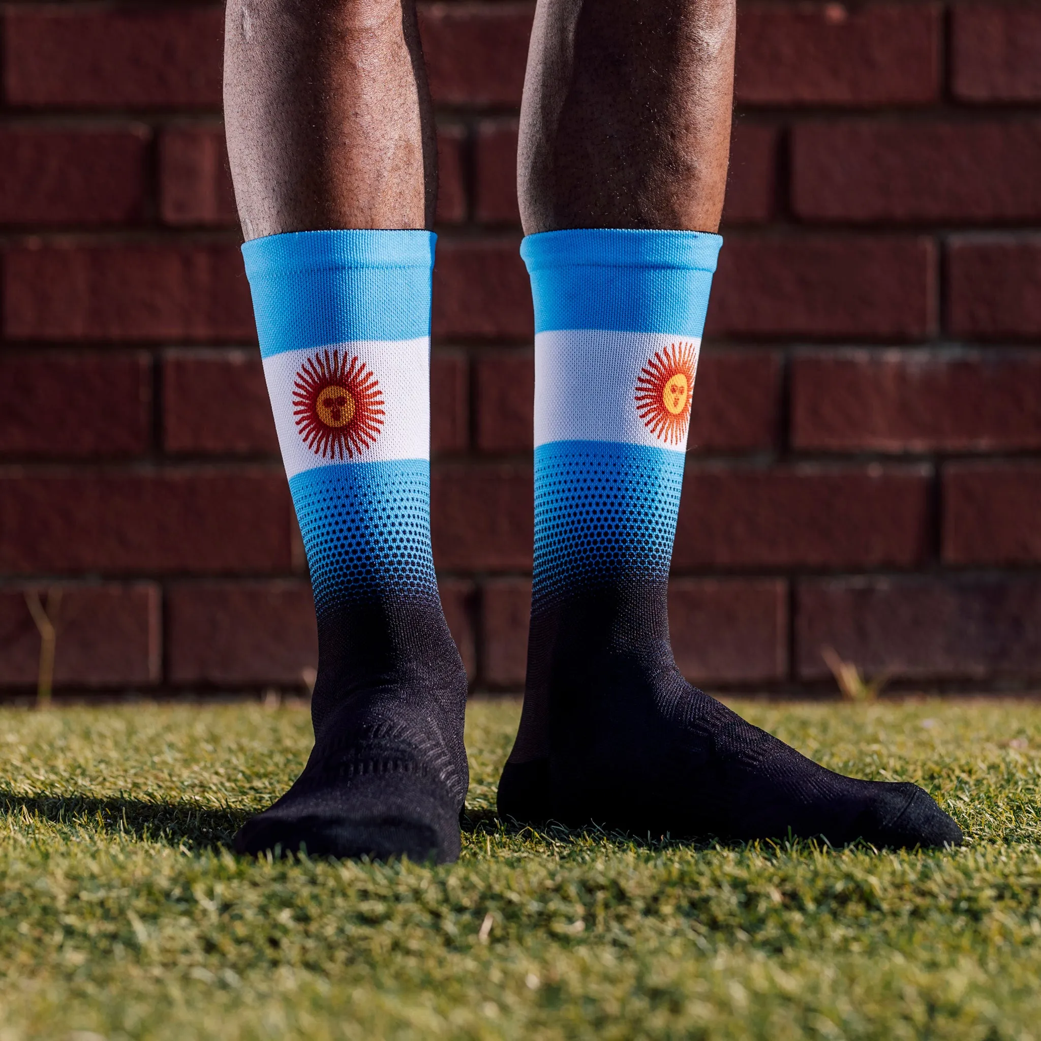 Argentina Flag Socks