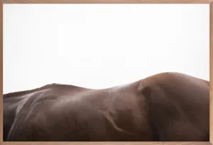 California Chrome 2