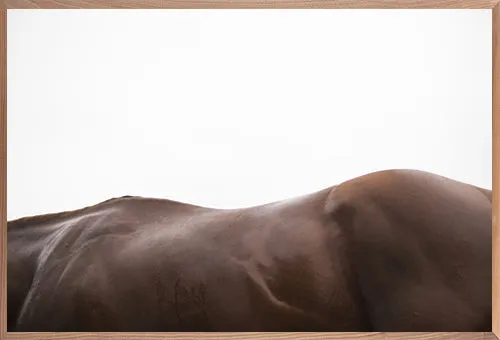 California Chrome 2