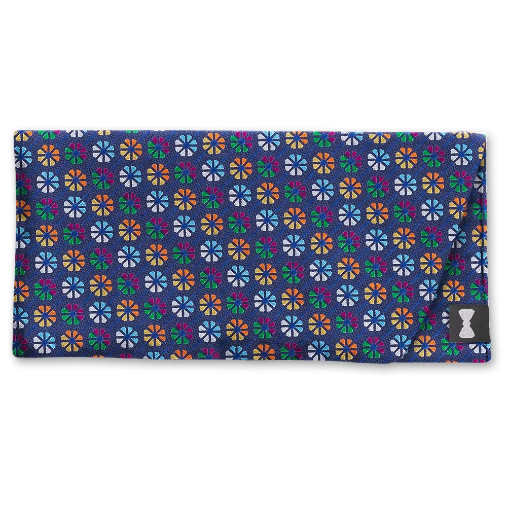 Lollyfield - Eyeglass Cases