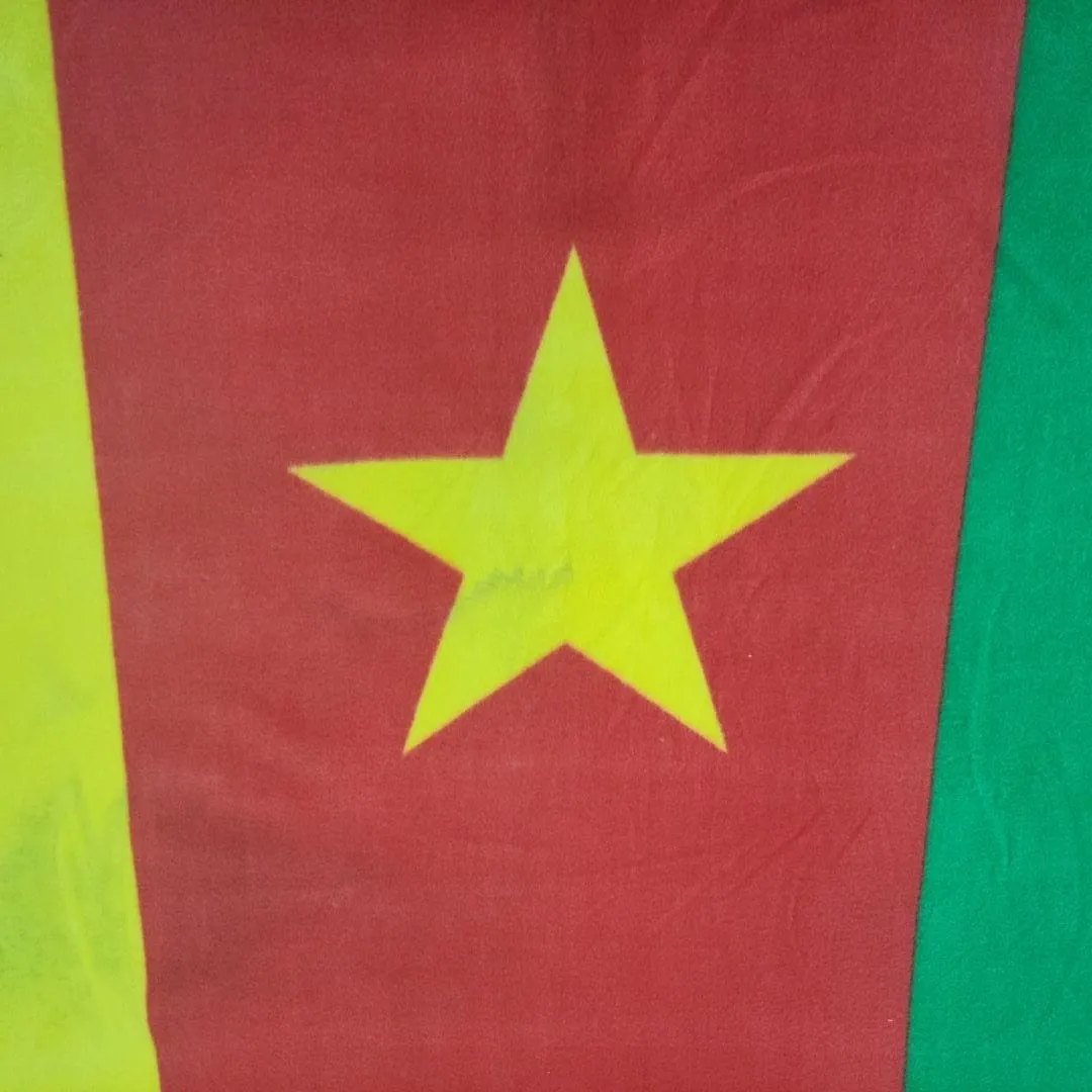 Polar Fleece Panel Flag Fabric 100cm
