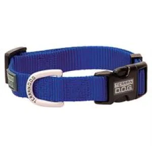 PS07-0932-19"-Blue Dog Collar "Terrain" Poly