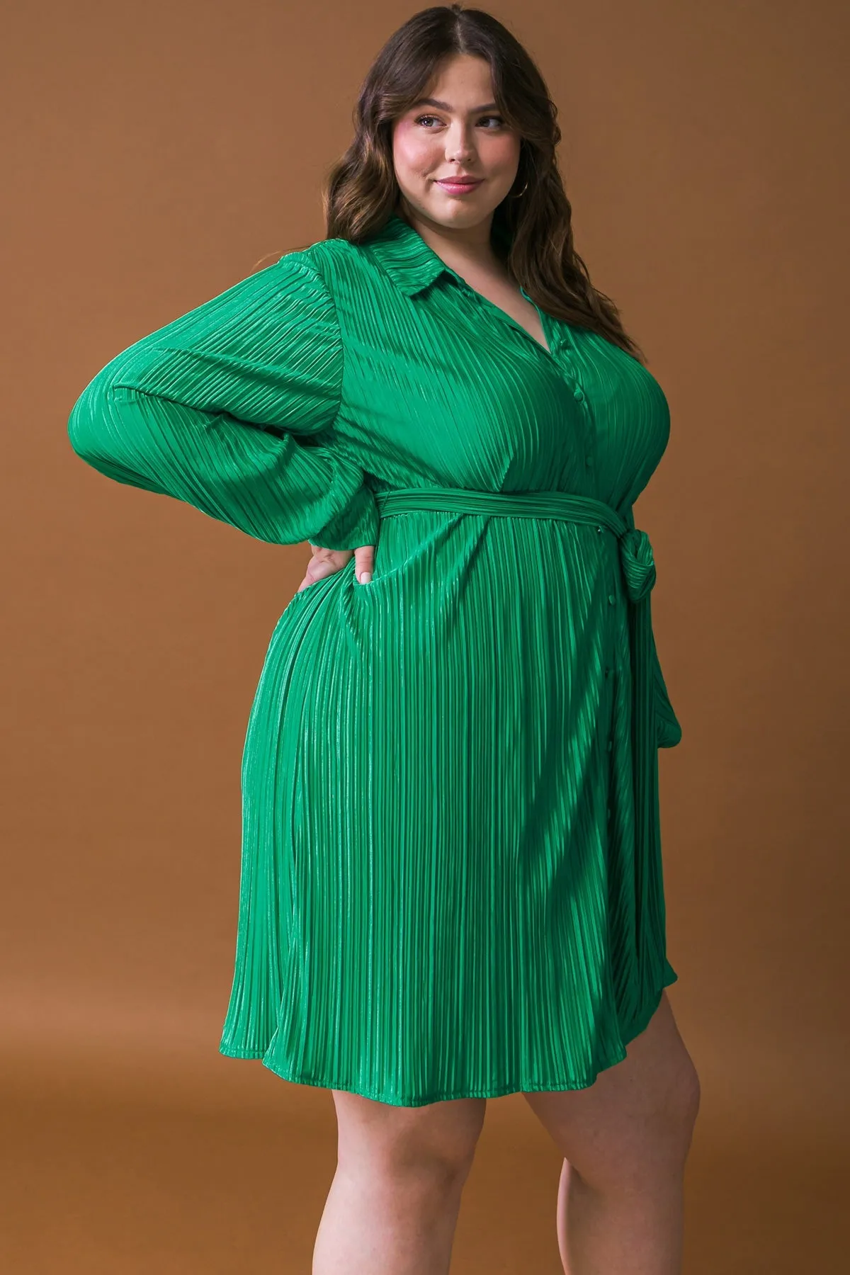 Solid Woven Mini Dress