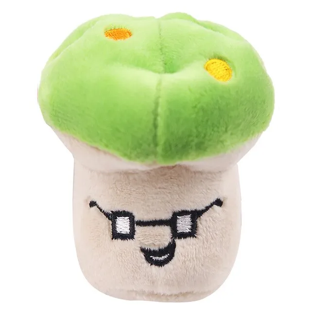 Squeaky Plush Chew Toys
