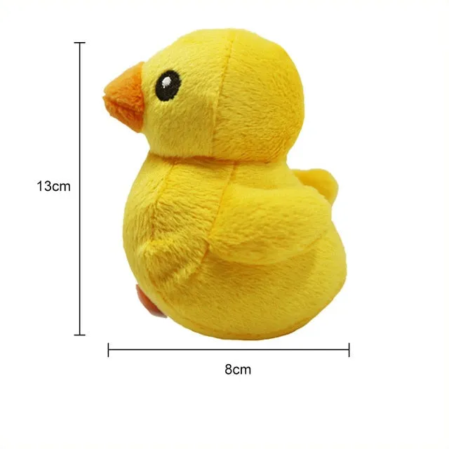 Squeaky Plush Chew Toys