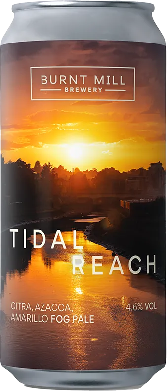 Tidal Reach Hazy Pale