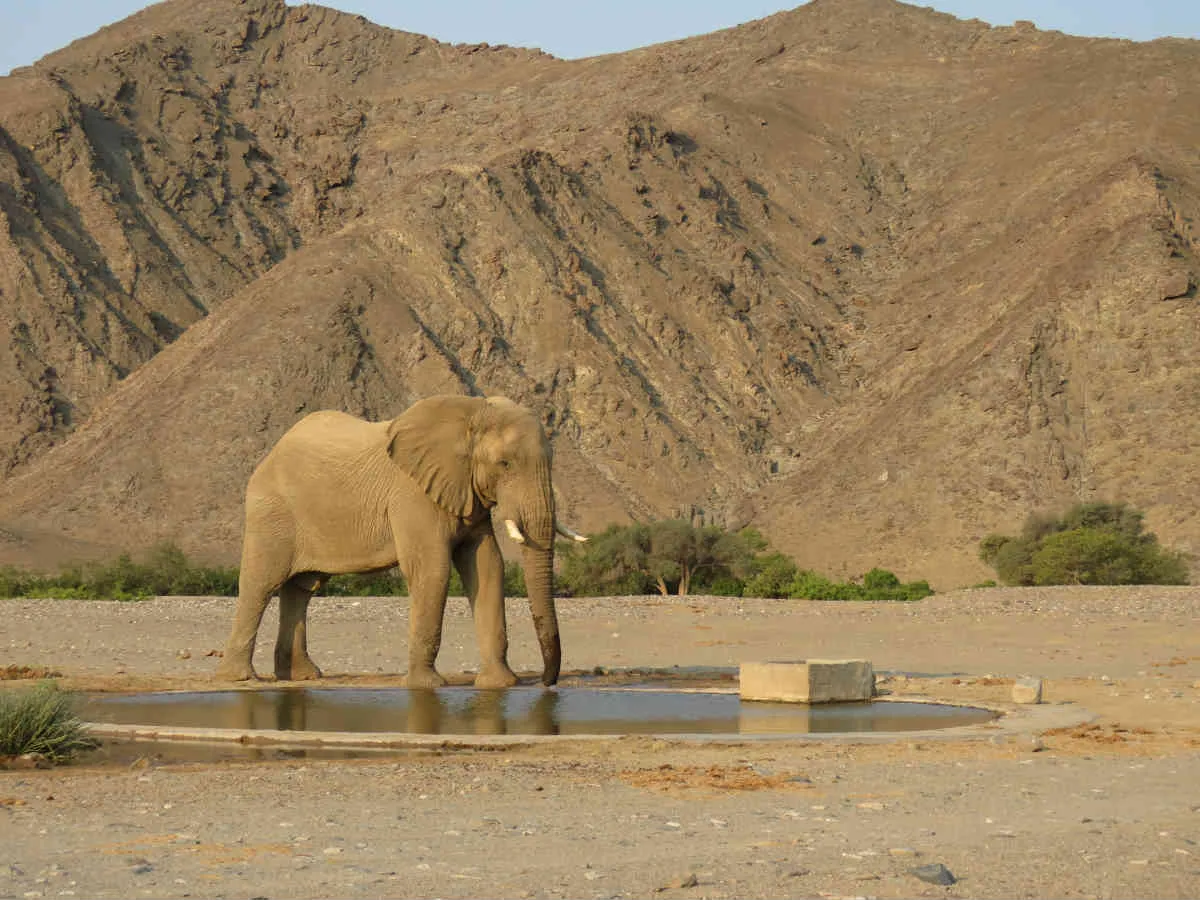 Two Week Off The Beaten Track In Namibia Tour