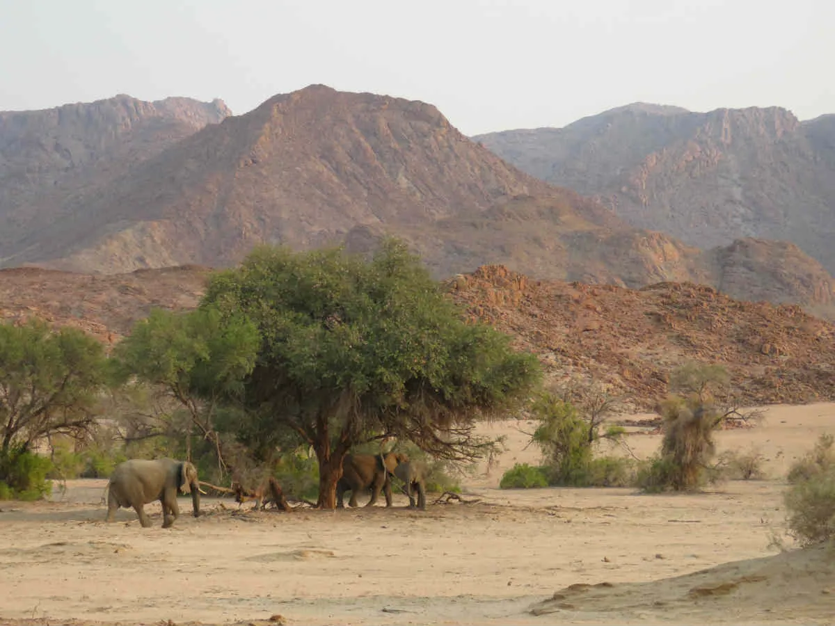 Two Week Off The Beaten Track In Namibia Tour
