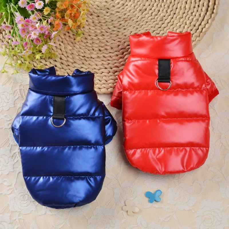 Waterproof Winter Coat For Small & Medium Pets