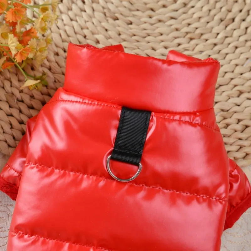Waterproof Winter Coat For Small & Medium Pets