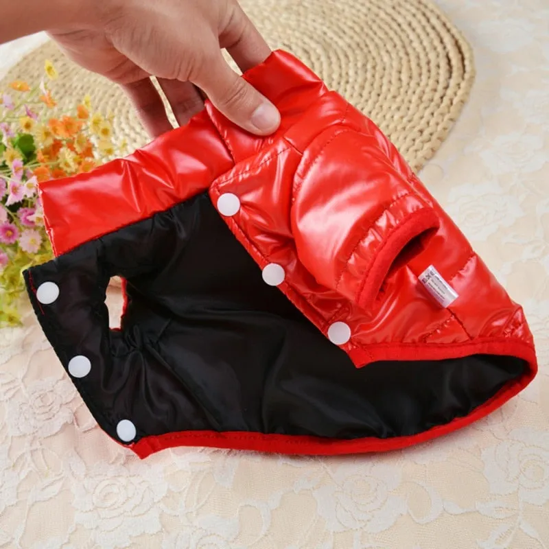 Waterproof Winter Coat For Small & Medium Pets