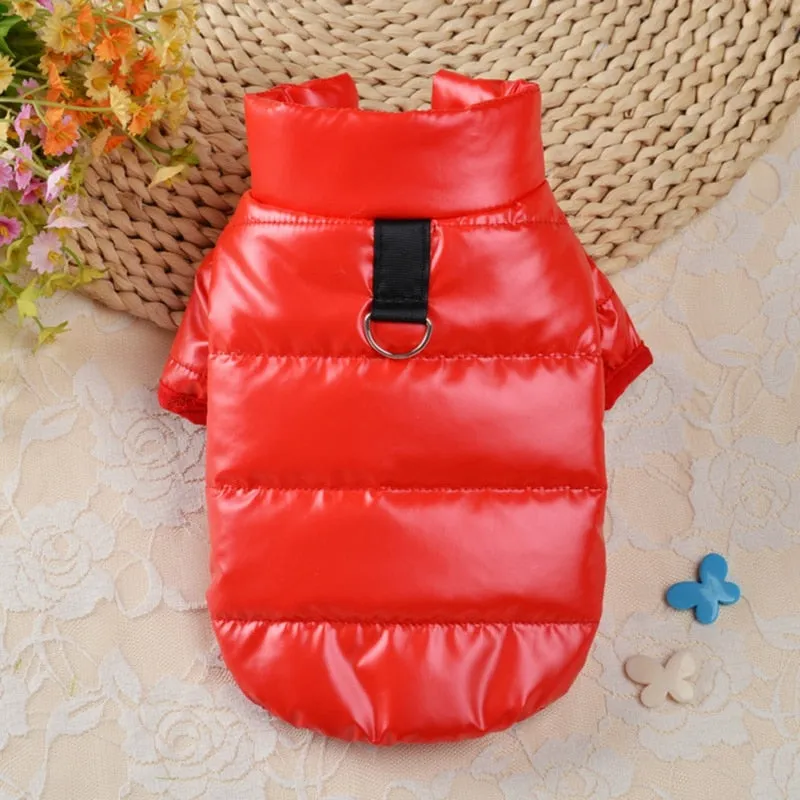 Waterproof Winter Coat For Small & Medium Pets
