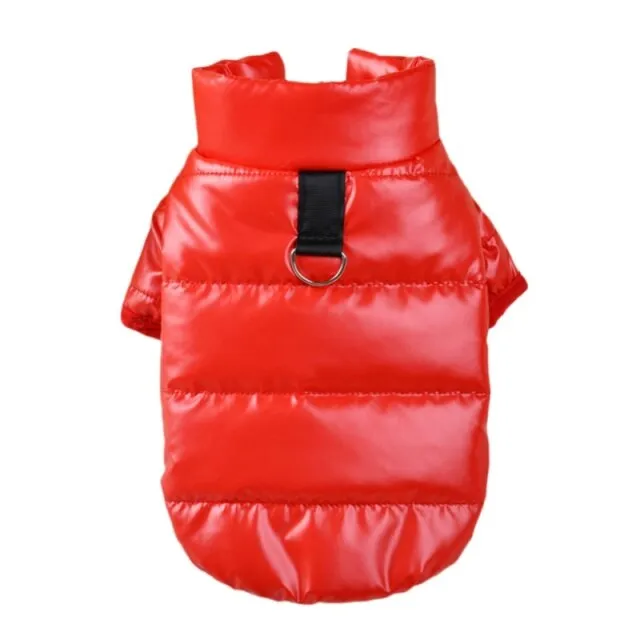 Waterproof Winter Coat For Small & Medium Pets