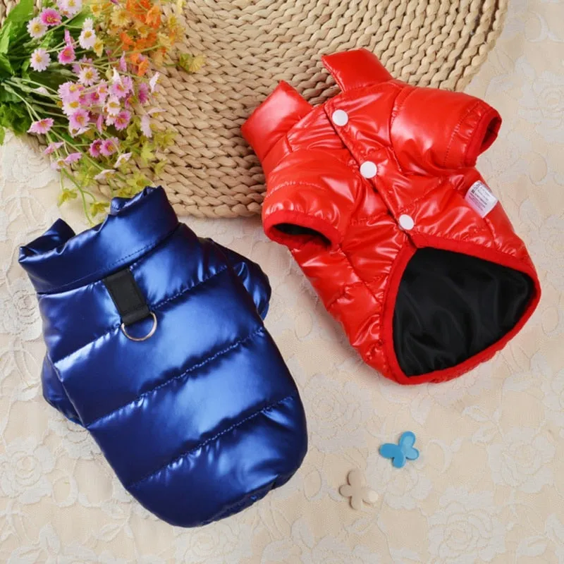 Waterproof Winter Coat For Small & Medium Pets