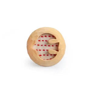 Wooden Bird Brooch